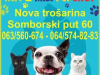alfi i misi