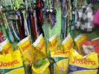 Alfi & Misi shop
