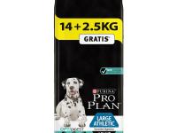 Pro plan atheltic