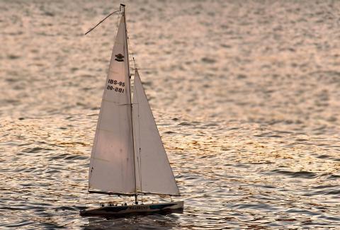 Završena veslačka regata „Vovodina Open“