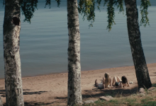 “Andreina ljubav” Manuela Martina Kuenke i “Sinovi” Gustava Melera sutra na  programu Festivala evropskog filma Palić