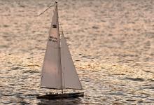 Završena veslačka regata „Vovodina Open“