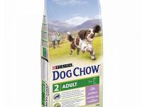Dog chow adult 14 kg jagnjetina 