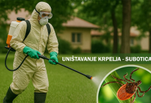 Uništavanje krpelja od ponedeljka, upozorenje za pčelare